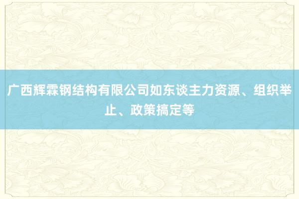 广西辉霖钢结构有限公司如东谈主力资源、组织举止、政策搞定等